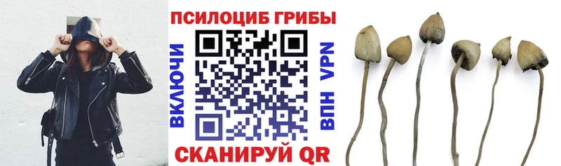 Купить  Макарьев  Галлюциногенные грибы Magic Shrooms 